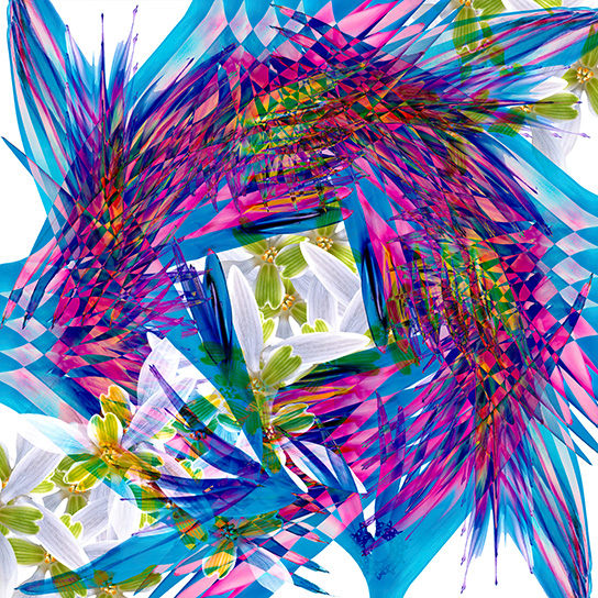 Christopher Jeauhn Bayne - Mosaic F3 - artwork image