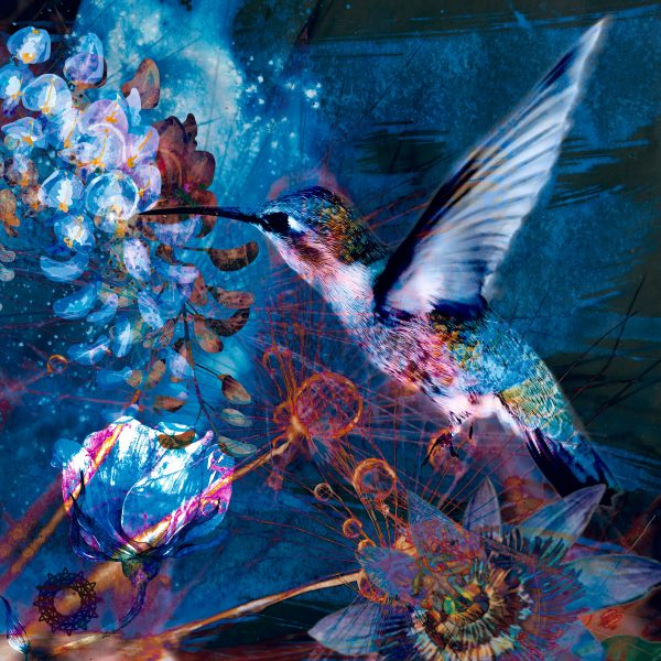 Christopher Jeauhn Bayne - Hummingbird - artwork image